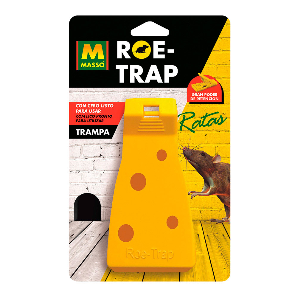Ratoeira 231127 massó