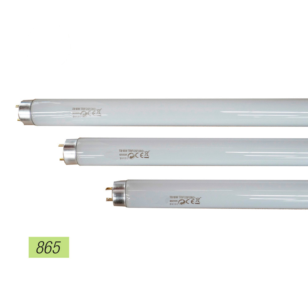 Tubo fluorescente 18w trifosforo 865k 1250 lumnes belight